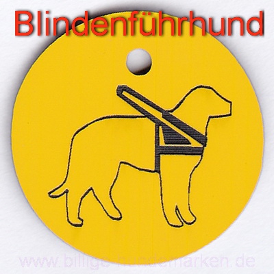 Handicap